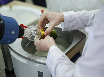 СКФУ представил инновационные разработки в агросекторе
