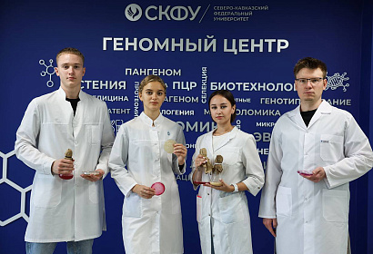 В СКФУ успешно завершен ключевой этап проекта "Приоритет 2030" по изучению генетики отечественных овец