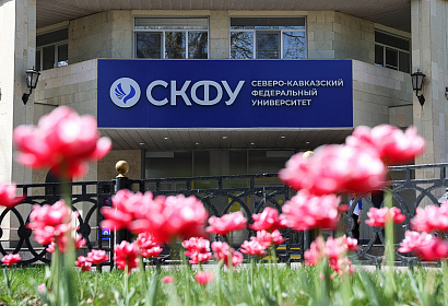 Образ России и Кавказа: аналитики Центра мониторинга общественного мнения СКФУ исследовали отношение к бренду региона